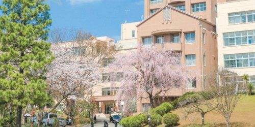 私立東京純心大学の画像