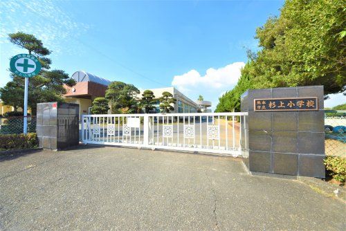 熊本市立杉上小学校の画像