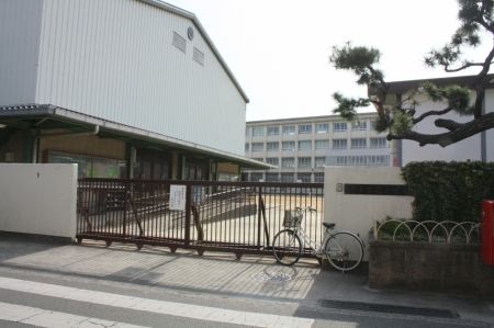 堺市立 鳳小学校の画像