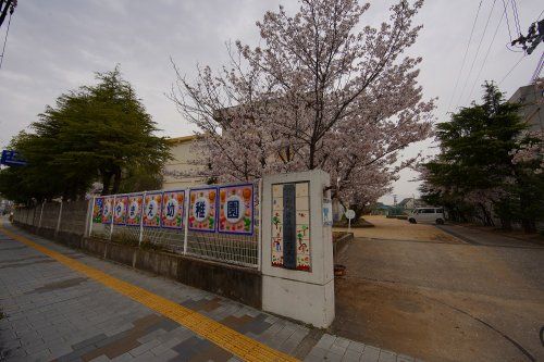 和歌山市立宮前幼稚園の画像