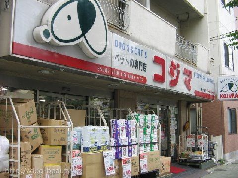 ペットの専門店コジマ 新小岩店の画像