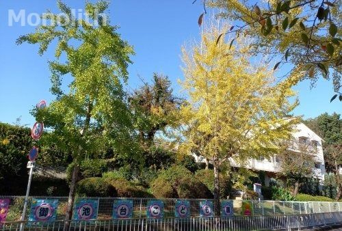 幼保連携型認定こども園御池台こども園の画像