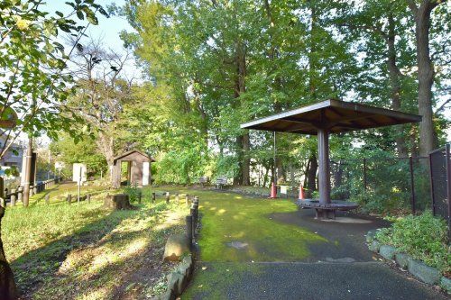 練馬区立越後山の森緑地の画像