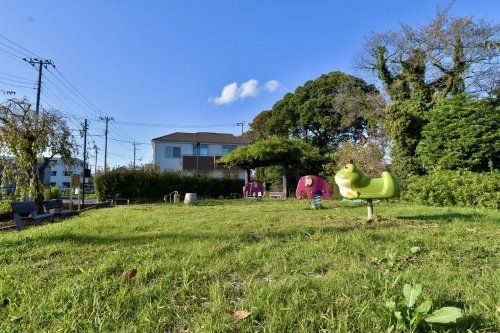 練馬区立中里みどり公園の画像