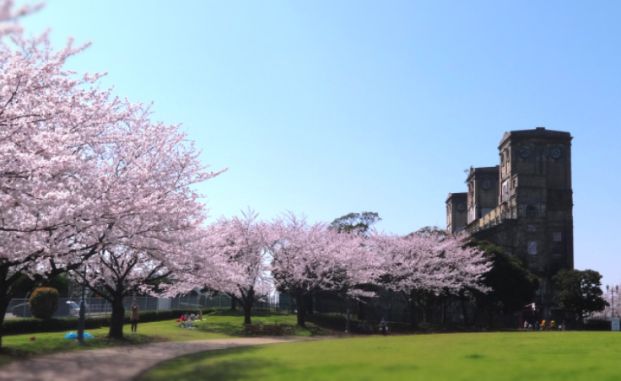 根岸公園の画像