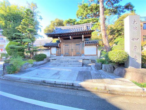 如来寺 養玉院の画像