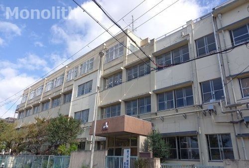 堺市立三国丘小学校の画像