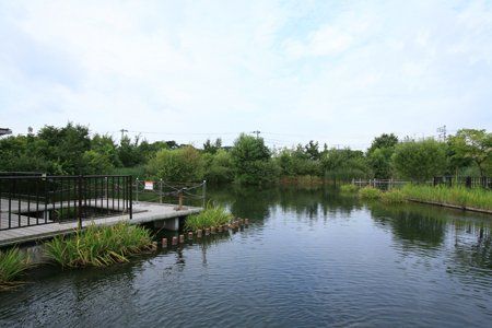 桑袋ビオトープ公園の画像