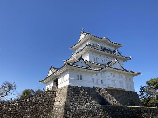 小田原城の画像