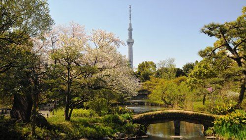 向島百花園の画像