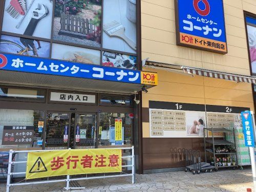 ホームセンターコーナン ドイト東向島店の画像