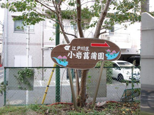 小岩菖蒲園の画像