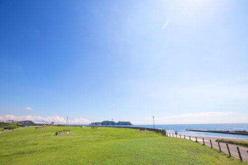 湘南海岸公園の画像