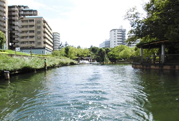 横十間川親水公園の画像