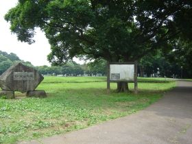 姥山貝塚公園の画像