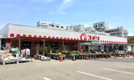 コメリハード&グリーン店の画像