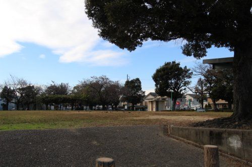 西津公園の画像