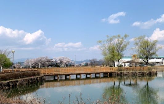 今泉三ツ池公園の画像