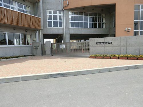 龍ケ崎市立馴柴小学校の画像