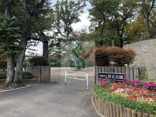 清瀬市立竹丘公園の画像