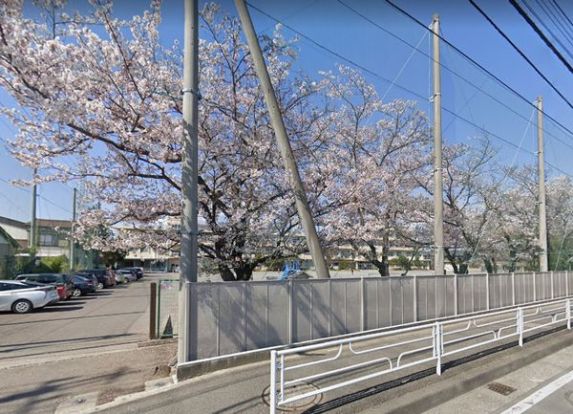 小田原市立桜井小学校の画像