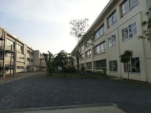 茅ケ崎市立浜須賀小学校の画像