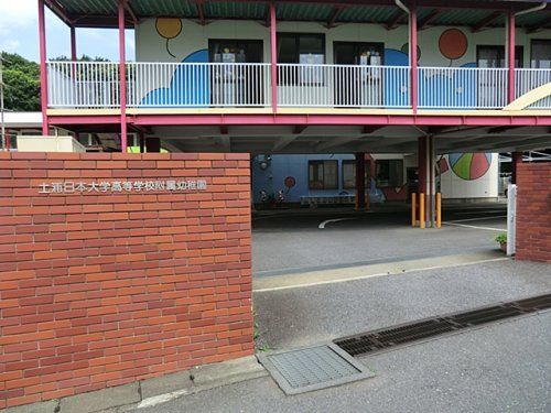 土浦日本大学高等学校附属幼稚園の画像