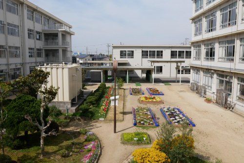 加古川市立野口北小学校の画像