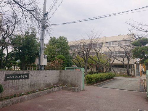 八尾市立永畑小学校の画像