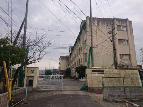 八尾市立亀井小学校の画像