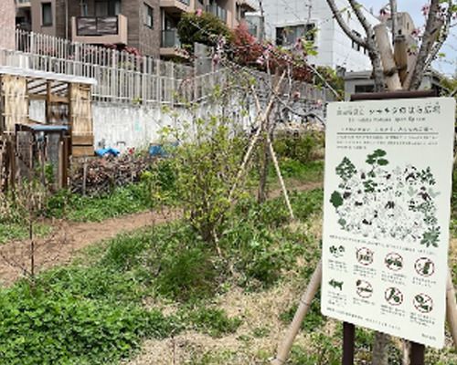 世田谷区立 シモキタのはら広場の画像