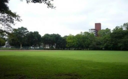 手代木公園の画像