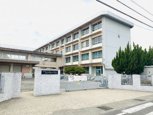 松山市立たちばな小学校の画像