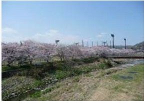 草花公園の画像