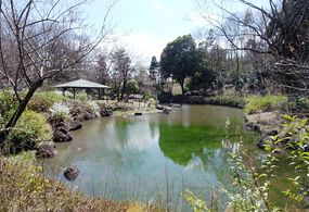 東中野公園の画像