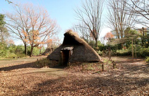 遺跡庭園「縄文の村」の画像