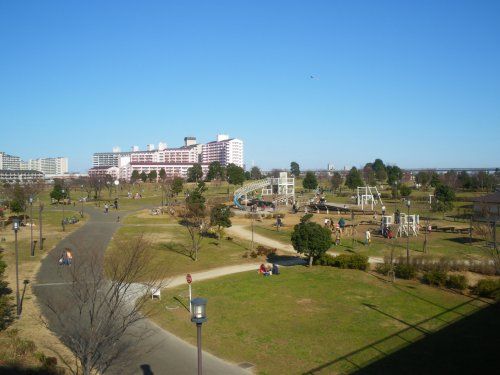 都立大島小松川公園の画像