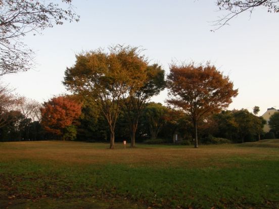 鷺沼城跡公園の画像