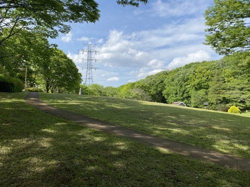 都立桜ヶ丘公園の画像