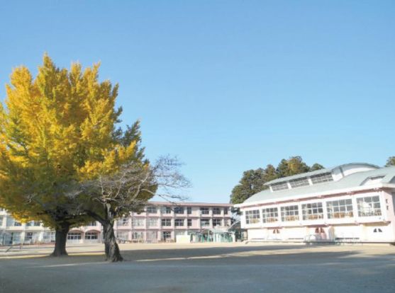 河和田小学校の画像