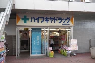 ハイフキヤドラッグ　宮崎台駅前店 の画像