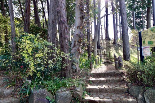 元締山の森緑地の画像