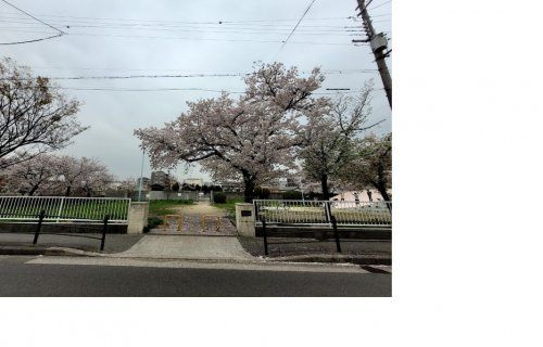 杉本町公園の画像