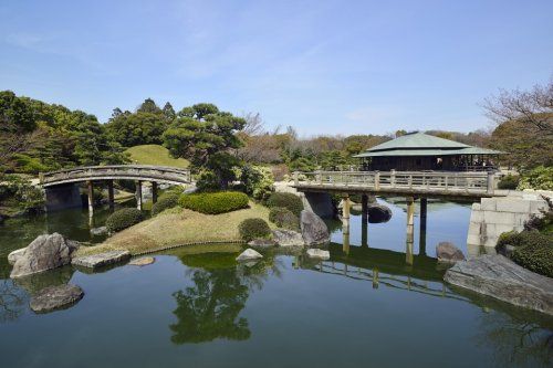 大仙公園の画像