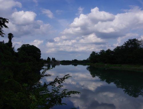 笹井河川敷公園の画像