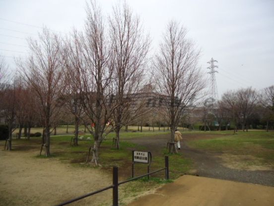 市民病院の横の公園の画像