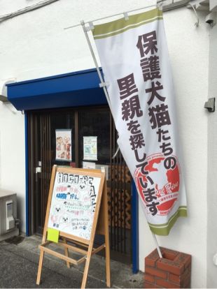 保護犬カフェ 西八王子店の画像