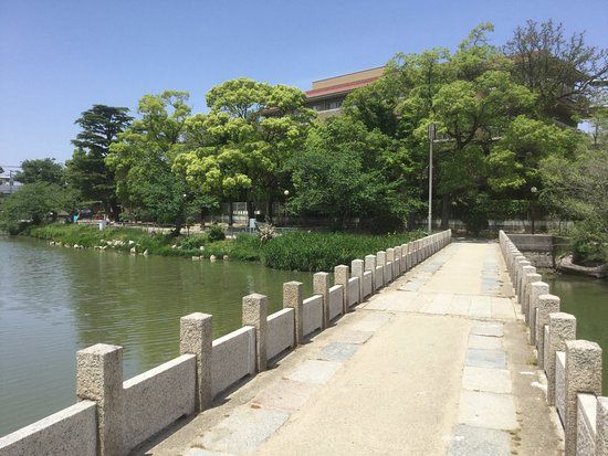 万代池公園の画像