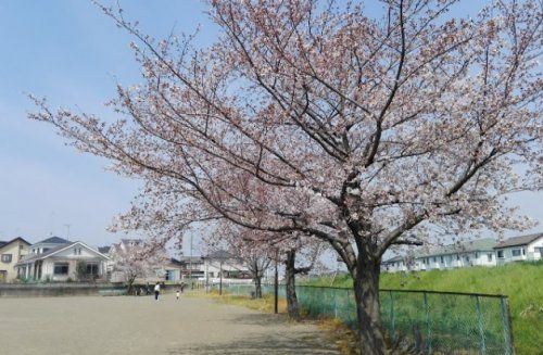 牛子東町公園の画像