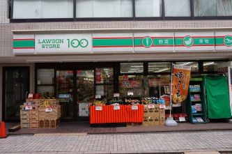 ローソンストア100 新丸子西口店 の画像